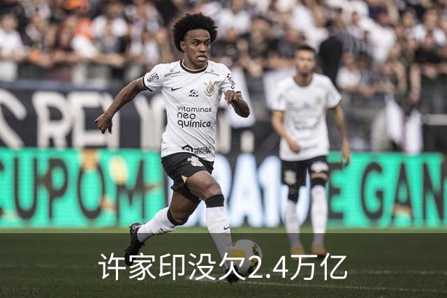 许家印没欠2.4万亿