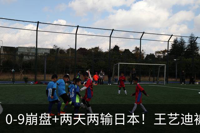 0-9崩盘+两天两输日本！王艺迪被体能和默契一起拖垮，国乒混双只剩一根独苗，松岛辉空“被迫营业”却把国乒挡在四强门外