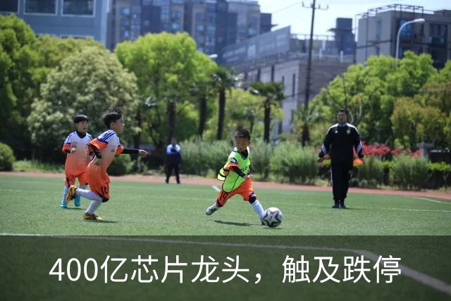 400亿芯片龙头，触及跌停